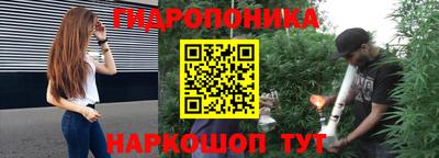 дмт Гусь-Хрустальный