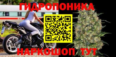 дмт Гусь-Хрустальный