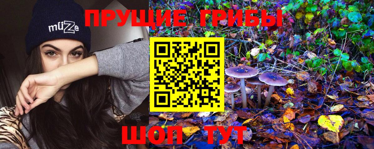 Мелеуз  Псилоцибиновые грибы Psilocybe  Псилоцибиновые грибы Psilocybe  Вход с VPN 