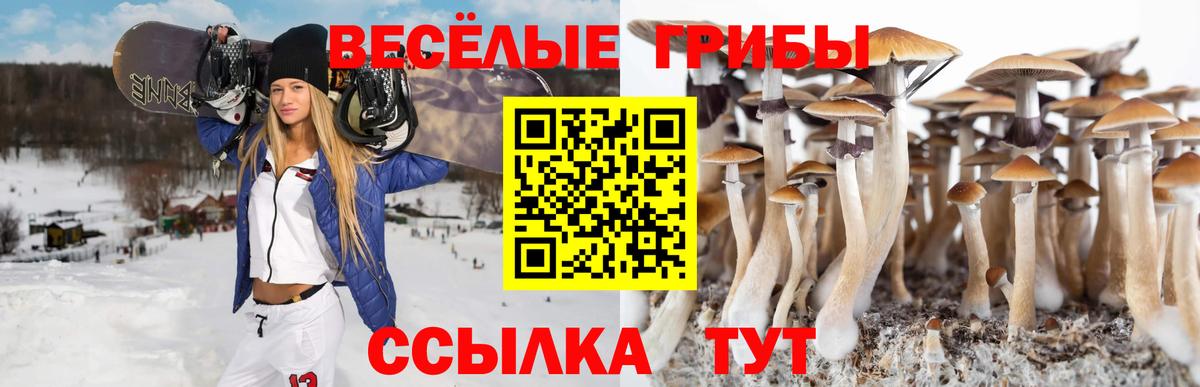 Псилоцибиновые грибы прущие грибы Мелеуз